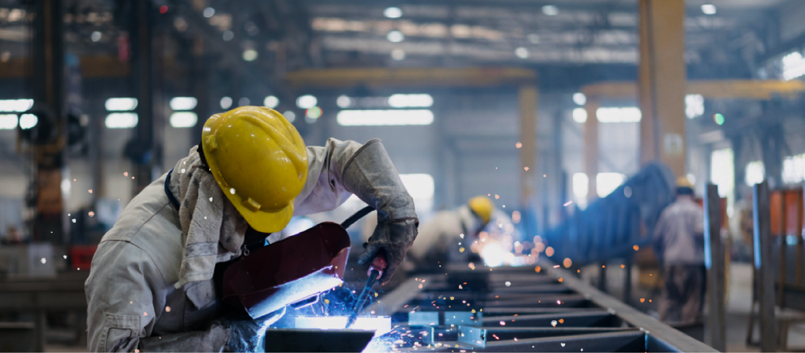 寺迫組　ホームページ 本工場